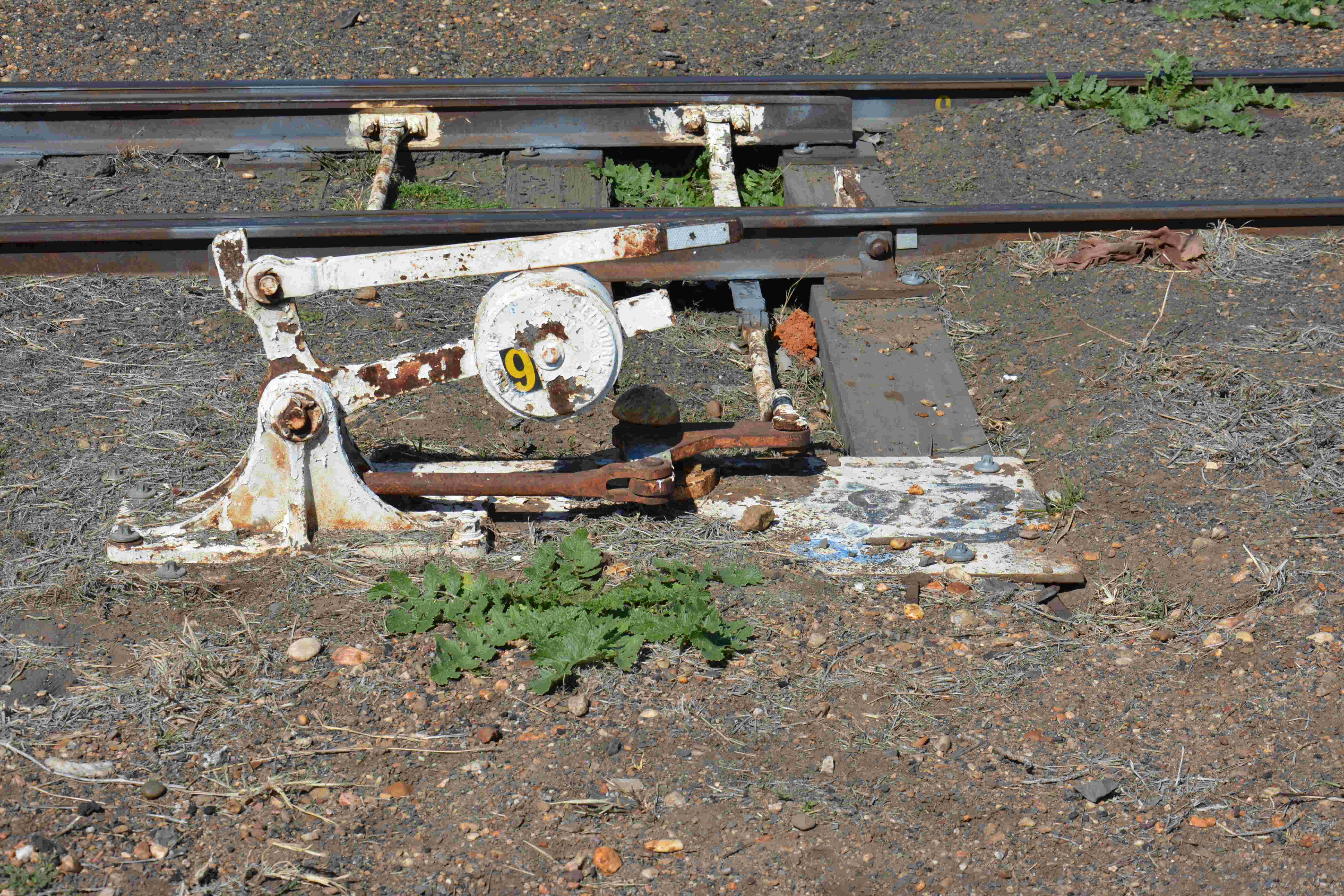🚂 시호로선 호로카역 유적 (시호로센 호로카에키아토)